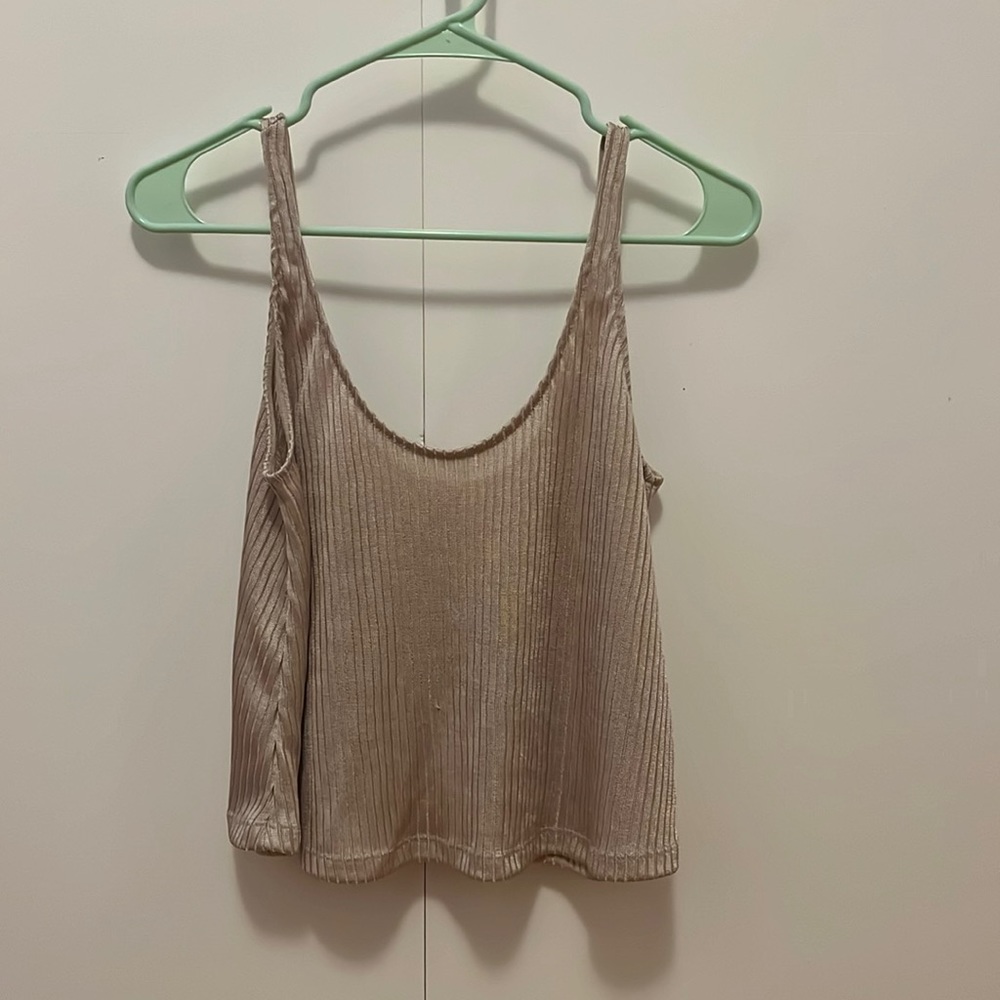 Champagne Crop Top